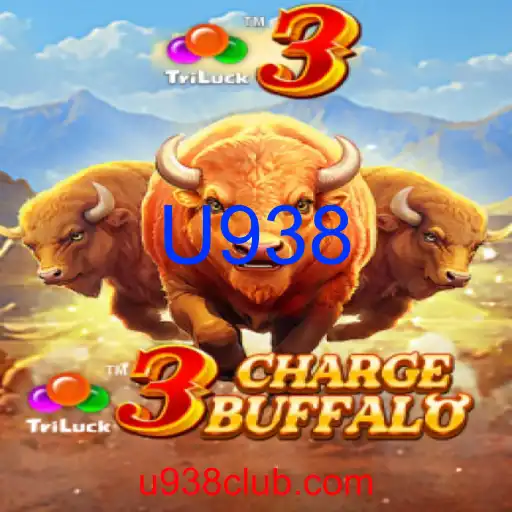 3ChargeBuffalo